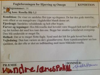 Eksemple på et bedømmelseskort